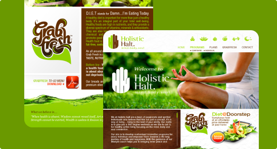 Holistic Halt Banner